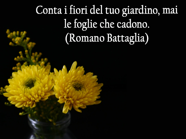 Conta i fiori del tuo giardino, mai le foglie che cadono.(Romano Battaglia)