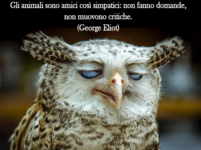 Gli animali sono amici così simpatici: non fanno domande, non muovono critiche.(George Eliot)