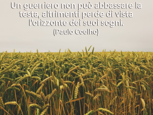 Un guerriero non può abbassare la testa, altrimenti perde di vista l’orizzonte dei suoi sogni.(Paulo Coelho)