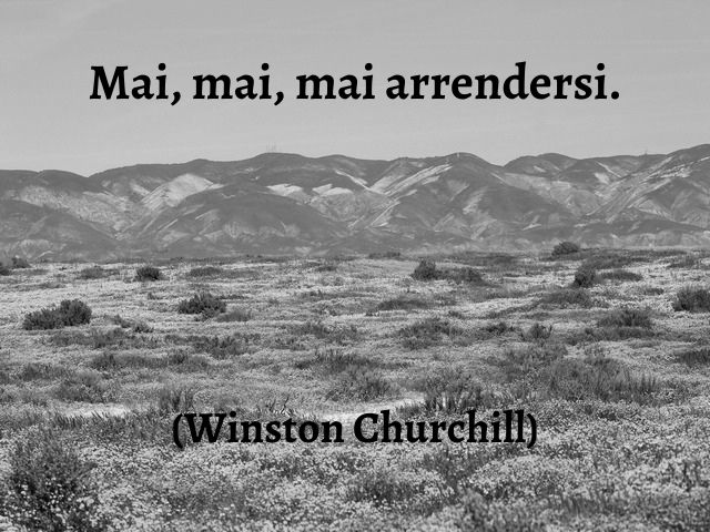 Mai, mai, mai arrendersi.(Winston Churchill)