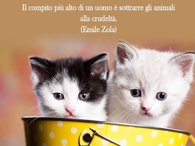 Il compito più alto di un uomo è sottrarre gli animali alla crudeltà.(Emile Zola)