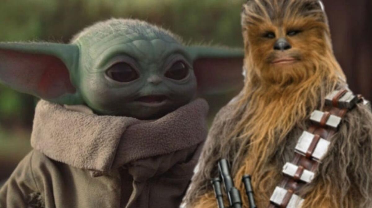 Le 5 specie più longeve di Star Wars nel canone - Grogu e Chewbacca.
Da: CB