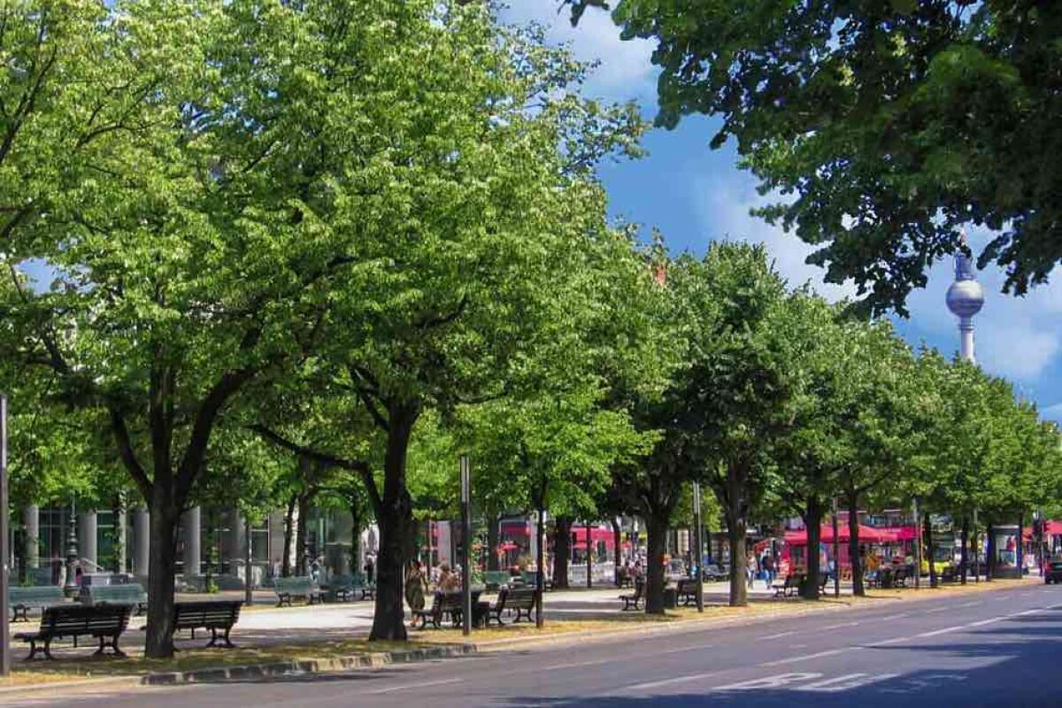 Unter den Linden: tutto quello che c'è da vedere lungo il viale più famoso di Berlino - 