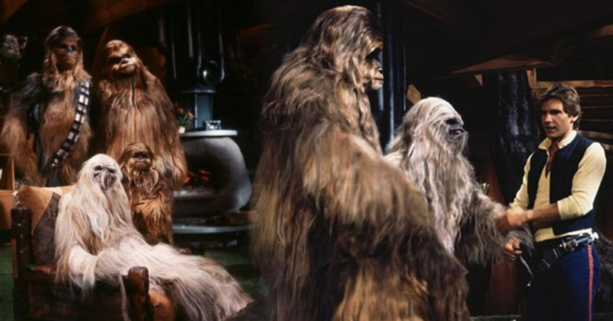 10 storie folli e assurde di Star Wars (ora Legends) - Star Wars Holiday Special