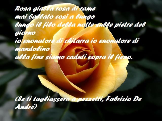 Rosa gialla rosa di rame mai ballato così a lungo lungo il filo della notte sulle pietre del giorno io suonatore di chitarra io suonatore di mandolino alla fine siamo caduti sopra il fieno. (Se ti tagliassero a pezzetti, Fabrizio De André)