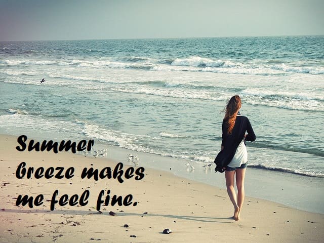 Summer breeze makes me feel fine. (La brezza estiva mi fa sentire bene.)