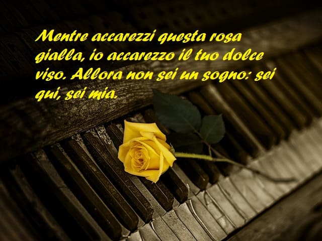 Mentre accarezzi questa rosa gialla, io accarezzo il tuo dolce viso. Allora non sei un sogno: sei qui, sei mia.