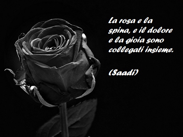 La rosa e la spina, e il dolore e la gioia sono collegati insieme. (Saadi)