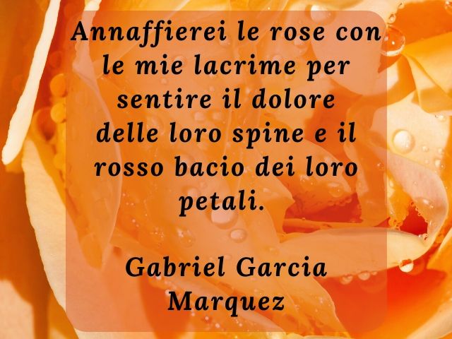 Annaffierei le rose con le mie lacrime per sentire il dolore delle loro spine e il rosso bacio dei loro petali. (Gabriel Garcia Marquez)