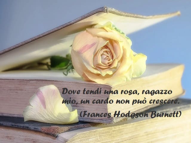 Dove tendi una rosa, ragazzo mio, un cardo non può crescere. (Frances Hodgson Burnett)