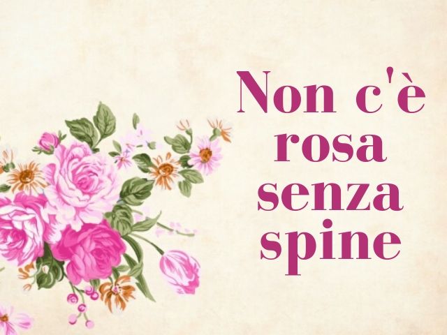 Non c'è rosa senza spine.