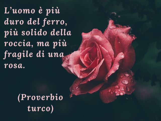 L'uomo è più duro del ferro, più solido della roccia, ma più fragile di una rosa. (Proverbio turco)