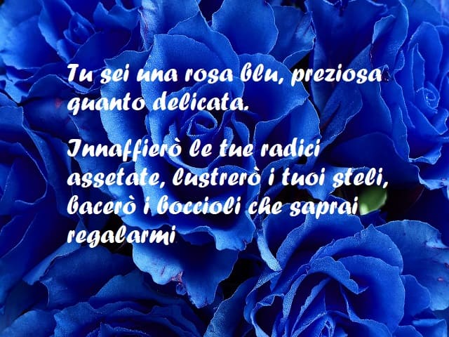 Tu sei una rosa blu, preziosa quanto delicata. Innaffierò le tue radici assetate, lustrerò i tuoi steli, bacerò i boccioli che saprai regalarmi.