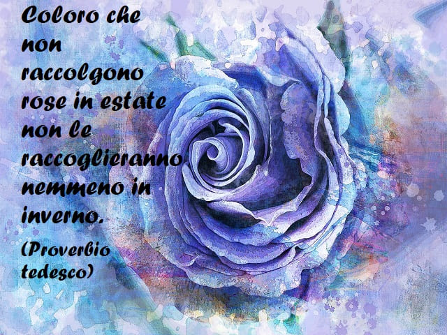 Coloro che non raccolgono rose in estate non le raccoglieranno nemmeno in inverno. (Proverbio tedesco)