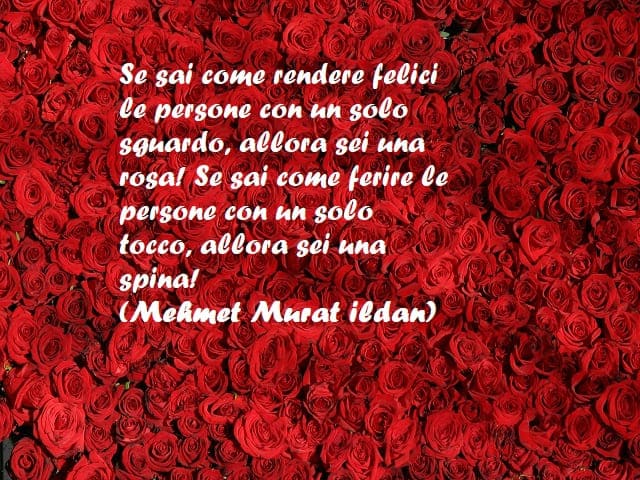 Se sai come rendere felici le persone con un solo sguardo, allora sei una rosa! Se sai come ferire le persone con un solo tocco, allora sei una spina! (Mehmet Murat Ildan)