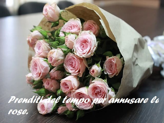 Prenditi del tempo per annusare le rose.