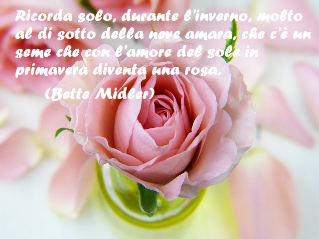 Ricorda solo, durante l'inverno, molto al di sotto della neve amara, che c'è un seme che con l'amore del sole in primavera diventa una rosa. (Bette Midler)