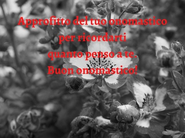 Approfitto del tuo onomastico per ricordarti quanto penso a te. Buon onomastico!