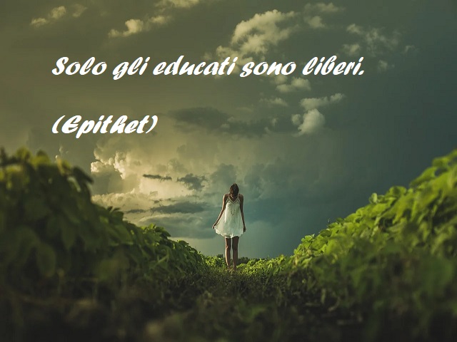 Solo gli educati sono liberi. (Epithet)