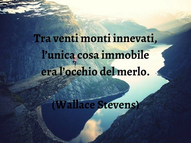 Tra venti monti innevati, l’unica cosa immobile era l’occhio del merlo.(Wallace Stevens)