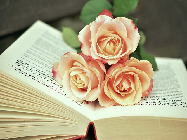 immagini di rose da disegnare