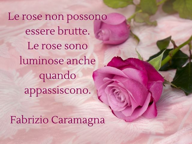 Le rose non possono essere brutte. Le rose sono luminose anche quando appassiscono. (Fabrizio Caramagna)