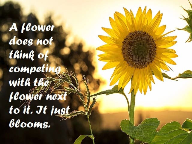 A flower does not think of competing with the flower next to it. It just blooms. (Un fiore non pensa a competere con il fiore accanto. Fiorisce e basta.)