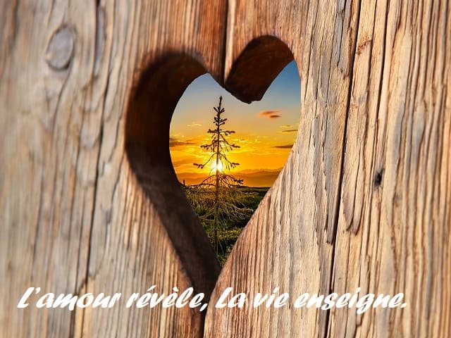 L’amour révèle, La vie enseigne. (L’amore rivela e la vita insegna.)