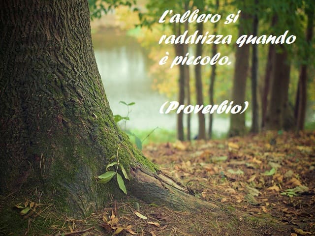 L'albero si raddrizza quando è piccolo. (Proverbio)