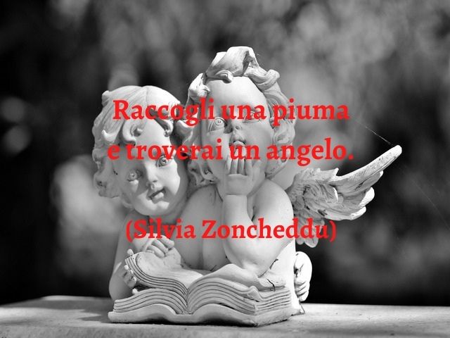 Raccogli una piuma e troverai un angelo.(Silvia Zoncheddu)