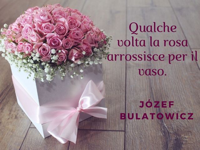 Qualche volta la rosa arrossisce per il vaso. (Jòzef Bulatowicz)