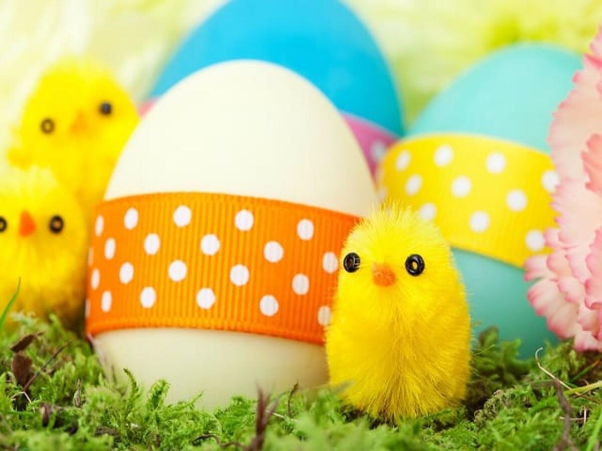 Buona Pasqua: 160 frasi, poesie, immagini e video per fare gli auguri - 