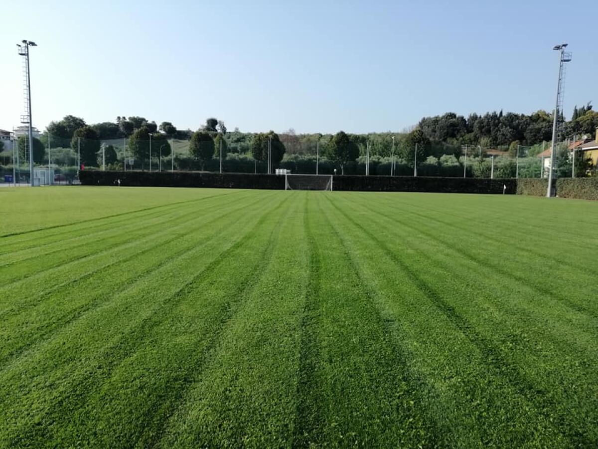 Istanza di fallimento per la Samb? "Serafino è sparito" e intanto Felleca... - Il campo del Samba Village, crediti: Arte Verde e Giardini