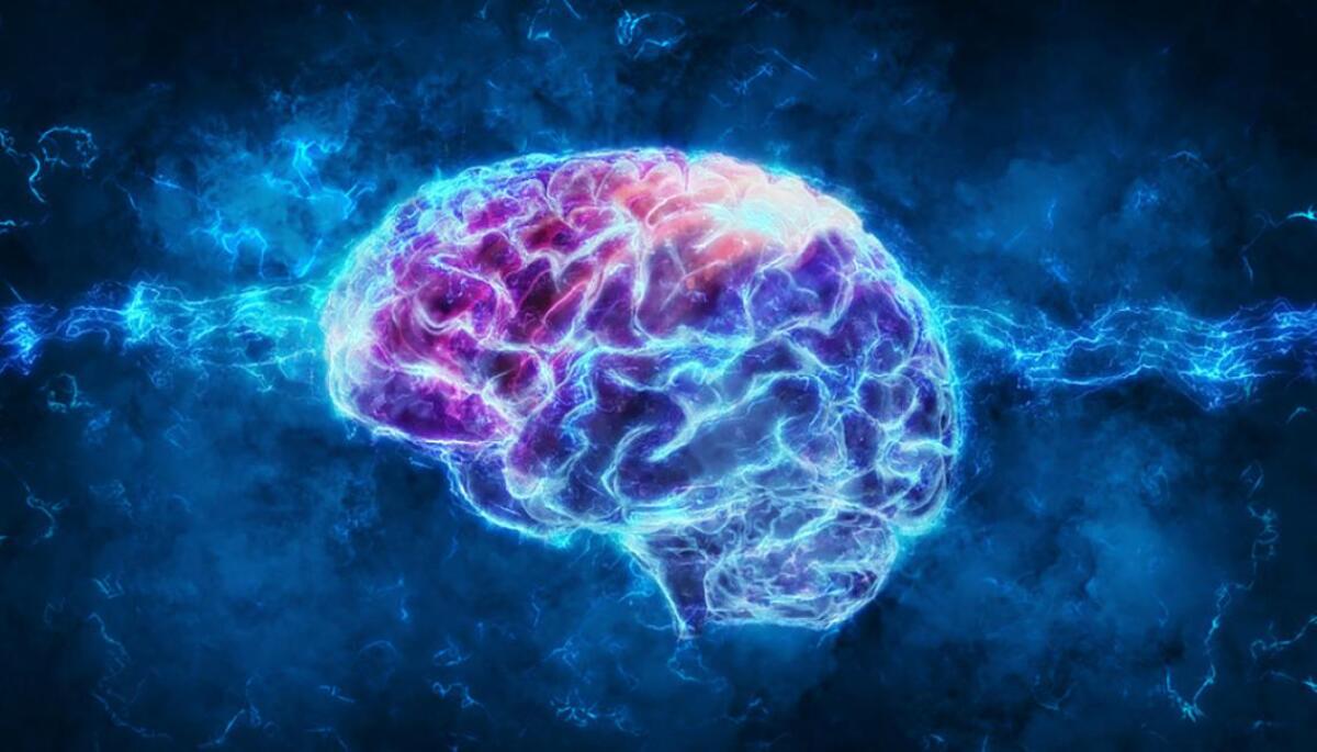 L'uomo che visse senza il 90% del cervello: il mistero clinico che sconvolse gli studi sulla coscienza - 