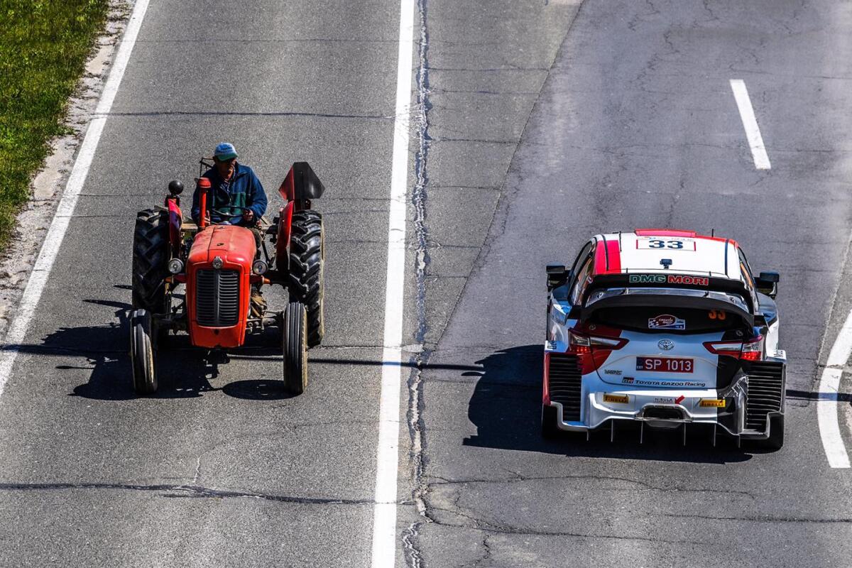 Rally di Croazia: le pagelle IGNORANTI - 