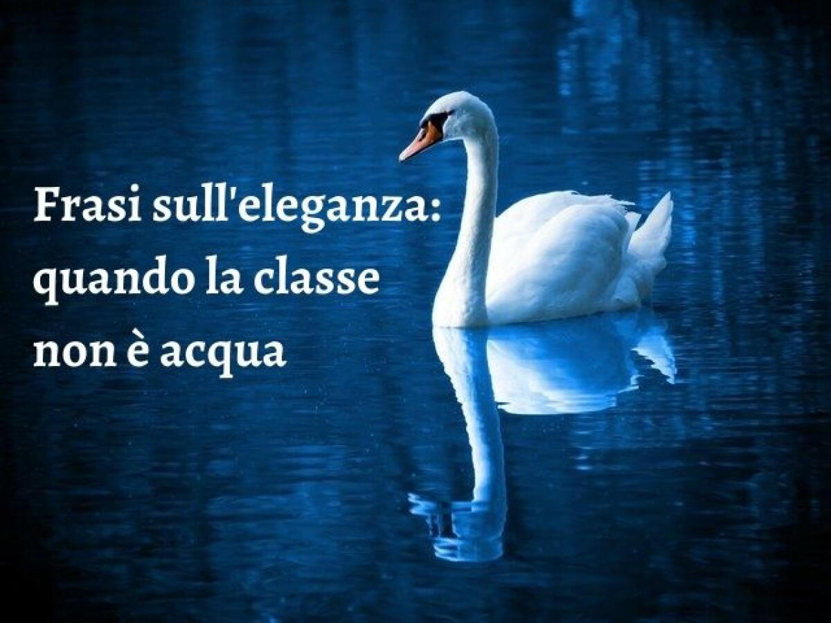 Frasi sull'eleganza: 162 pensieri sull'idea che la classe non è acqua - 