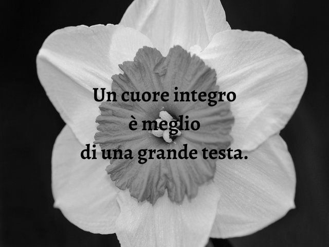 Un cuore integro è meglio di una grande testa.