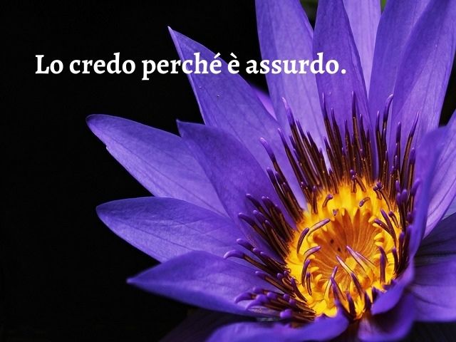Lo credo perché è assurdo.