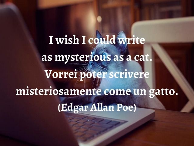 I wish I could write as mysterious as a cat.Vorrei poter scrivere misteriosamente come un gatto.(Edgar Allan Poe)