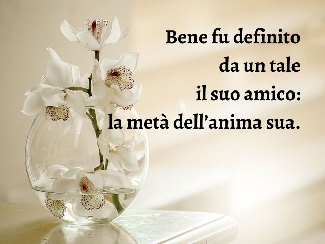 Bene fu definito da un tale il suo amico: la metà dell’anima sua.