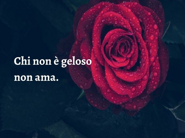 Chi non è geloso non ama.