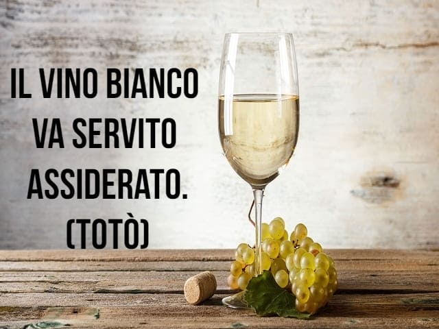 Il vino bianco va servito assiderato. (Totò)