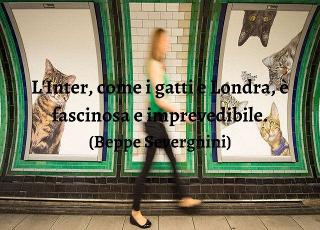 L'Inter, come i gatti e Londra, è fascinosa e imprevedibile.(Beppe Severgnini)