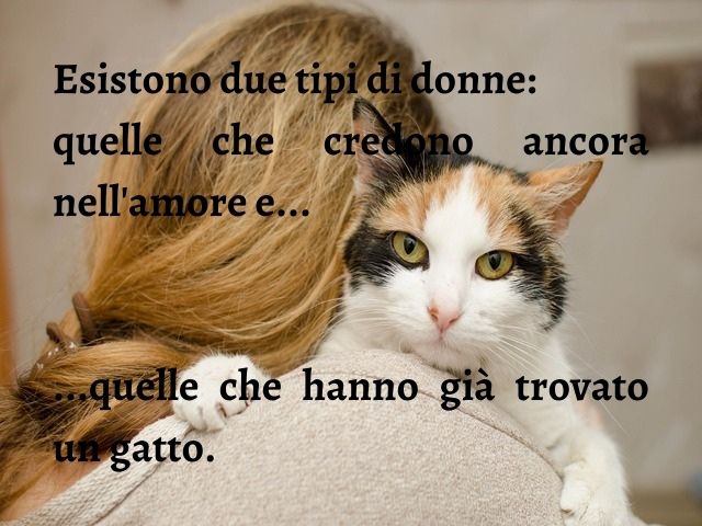 Esistono due tipi di donne: quelle che credono ancora nell'amore e quelle che hanno già trovato un gatto.