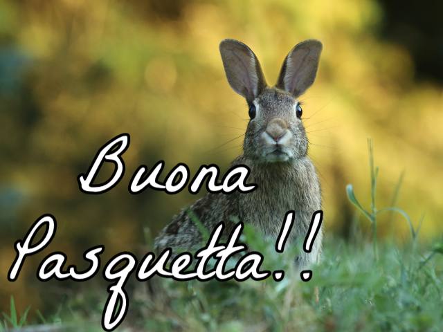 Buona Pasquetta!