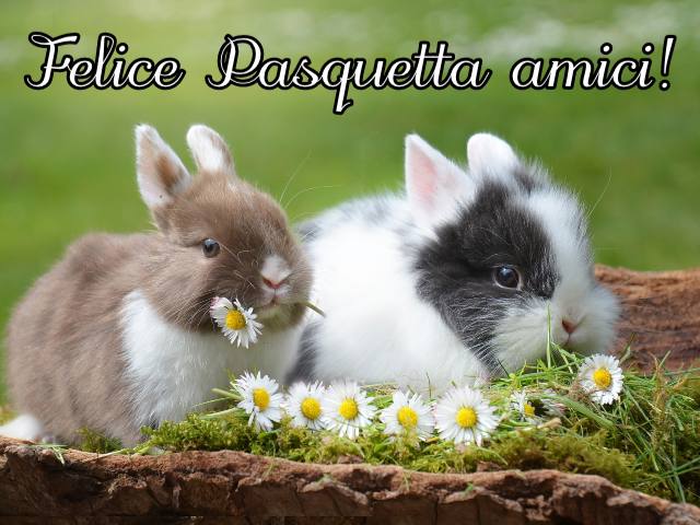 Felice Pasquetta amici!