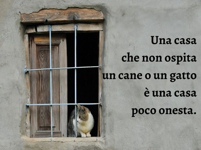 Una casa che non ospita un cane o un gatto è una casa poco onesta.