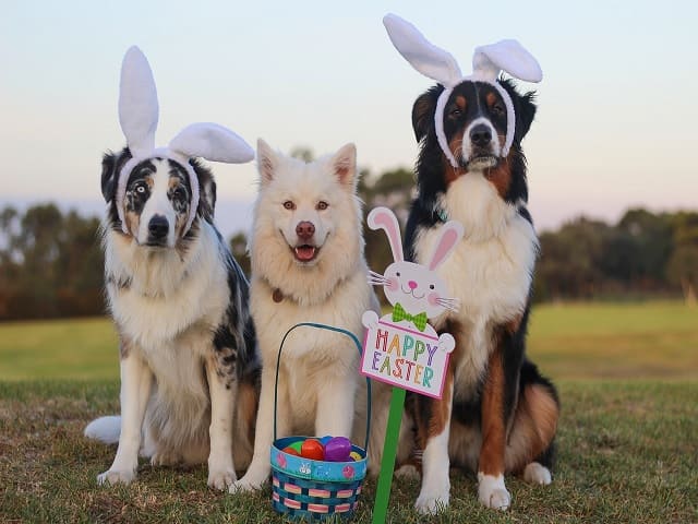 Happy Easter (Felice Pasqua)