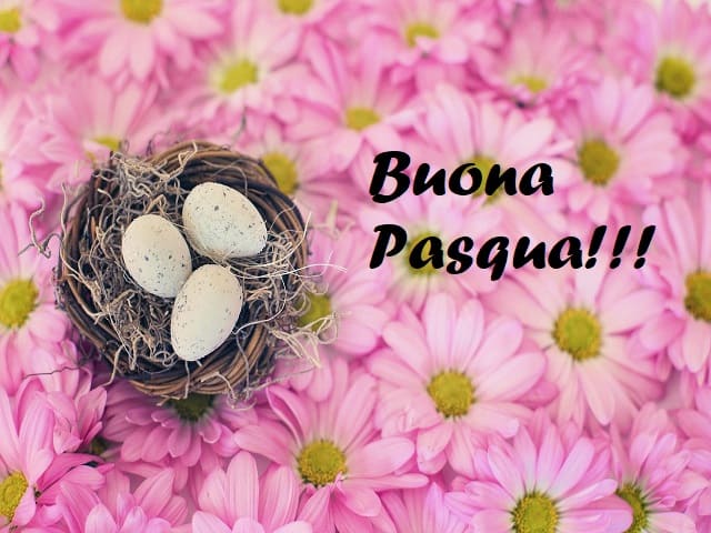 Buona Pasqua!!!