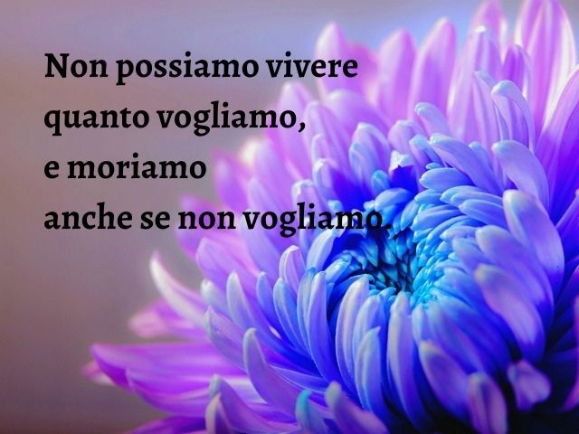 Non possiamo vivere quanto vogliamo, e moriamo anche se non vogliamo.